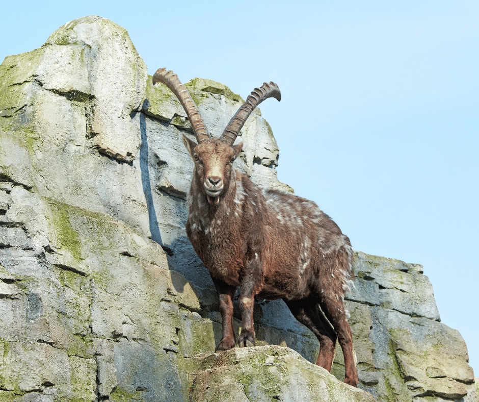 Image 76